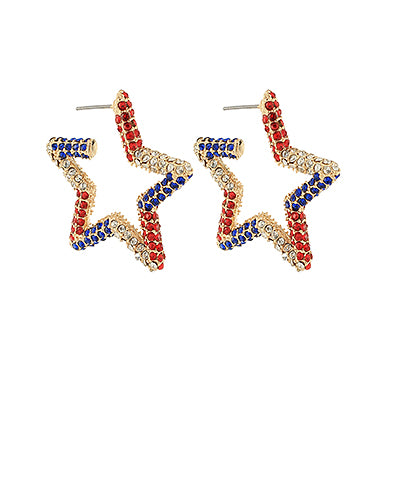 USA open star Crystal hoops