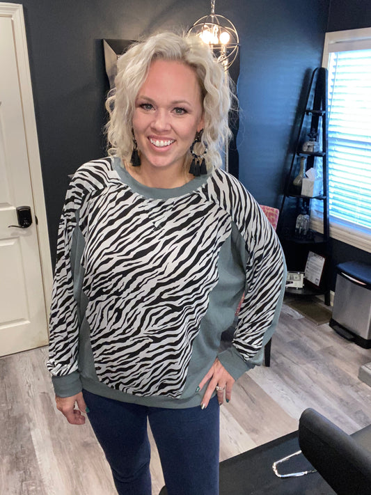 Zebra sage color block sweater